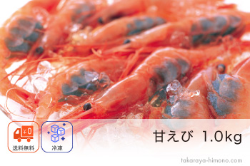 甘えび 1.0kg(60～100尾前後) サイズ不揃い 刺身用 福井産 【冷凍】
