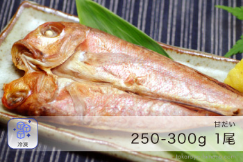 越前特大甘だい 1パック（1尾入り・1尾あたり約250-300g）無添加うす塩干物【冷凍】
