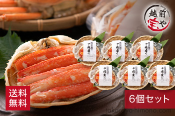 ずわいがに(オスがに) 甲羅盛り カナダ産 6個 セット【冷凍】