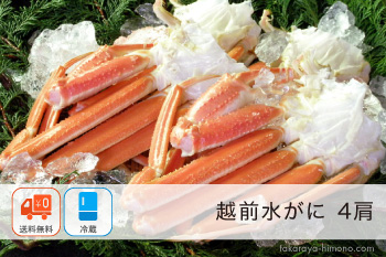 福井県産水がに（若がに）4肩(2杯分)セット【冷蔵】