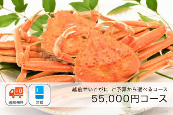 越前せいこがに(メスがに) 55,000円コース（6杯/9杯/12杯/16杯）【冷蔵】注文は12/26まで