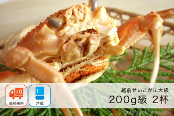 越前せいこがに(メスがに) 200g以上×2杯 セット【冷蔵】注文は12/26まで