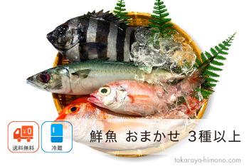 鮮魚 おまかせ セット 4種以上 通販 産地直送【冷蔵】