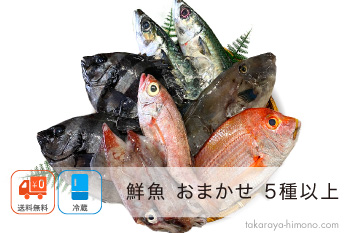 鮮魚 おまかせ セット 5種以上 通販 産地直送【冷蔵】