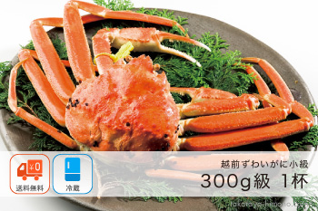 越前ずわいがに(オスがに) 小級(300g前後×1杯)【冷蔵】