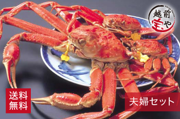 越前がに