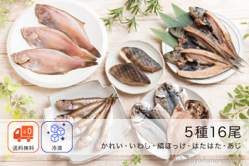 無添加うす塩干物 ギフトセット 5種16品  風呂敷対応可 【冷凍】