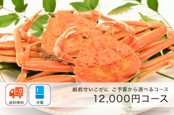 越前せいこがに(メスがに) 12,000円コース（2杯/3杯）【冷蔵】注文は12/26まで