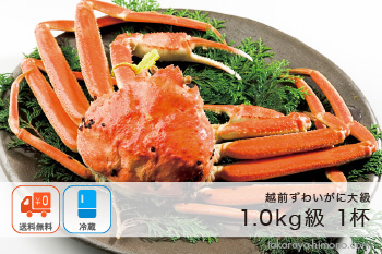 越前ずわいがに(オスがに) 大級（1.0kg前後×1杯）【冷蔵】