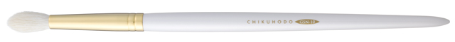 GSN-10.jpg