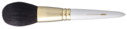 GSN-01　