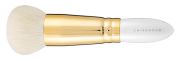 pf-4.png