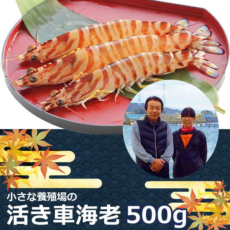 丸仙水産