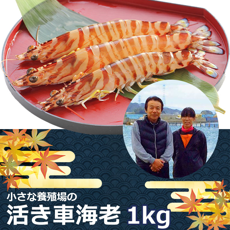 丸仙水産