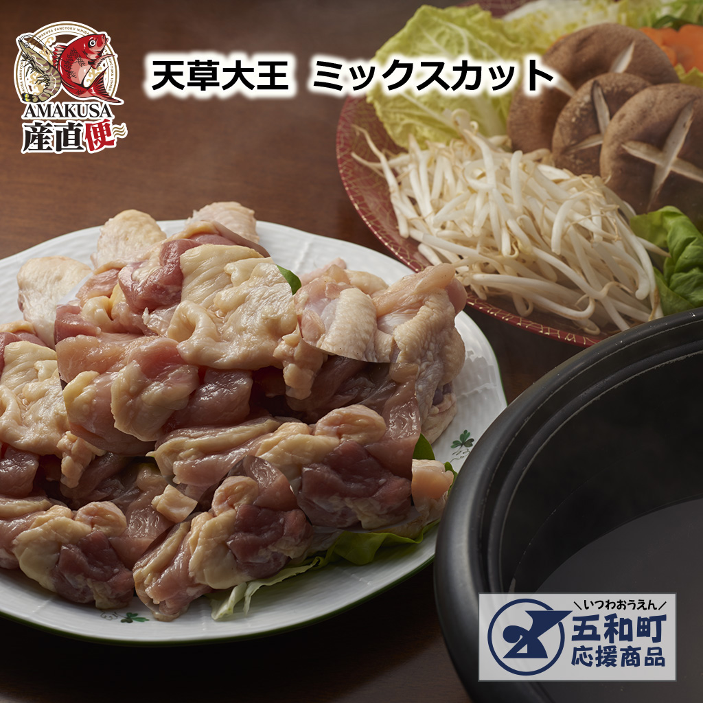 五和　天草大王