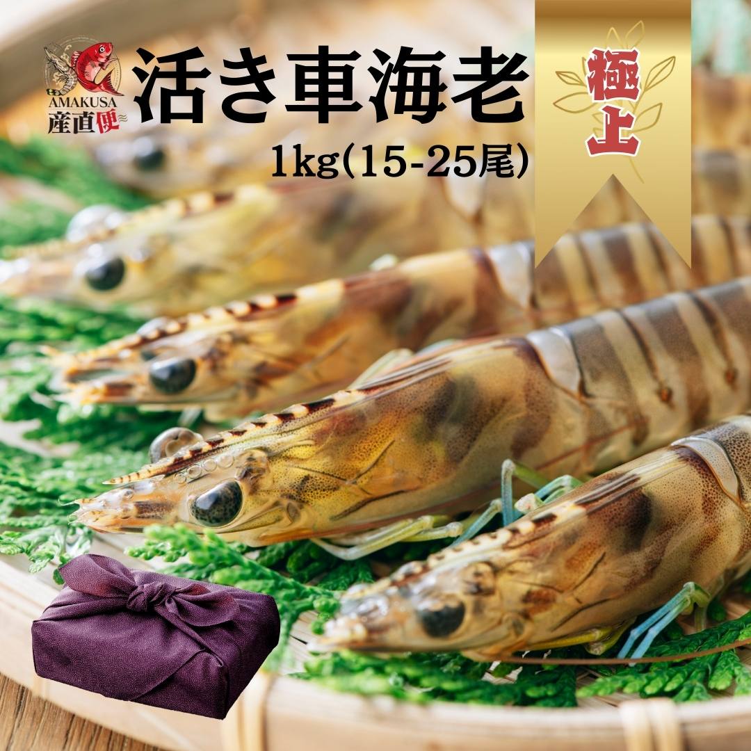 ※予約販売※　R8年12月出荷開始！　極上活き車海老1kg(15-25匹)大きいサイズ 活き車海老 贈答用 木箱 風呂敷包み 天草特産