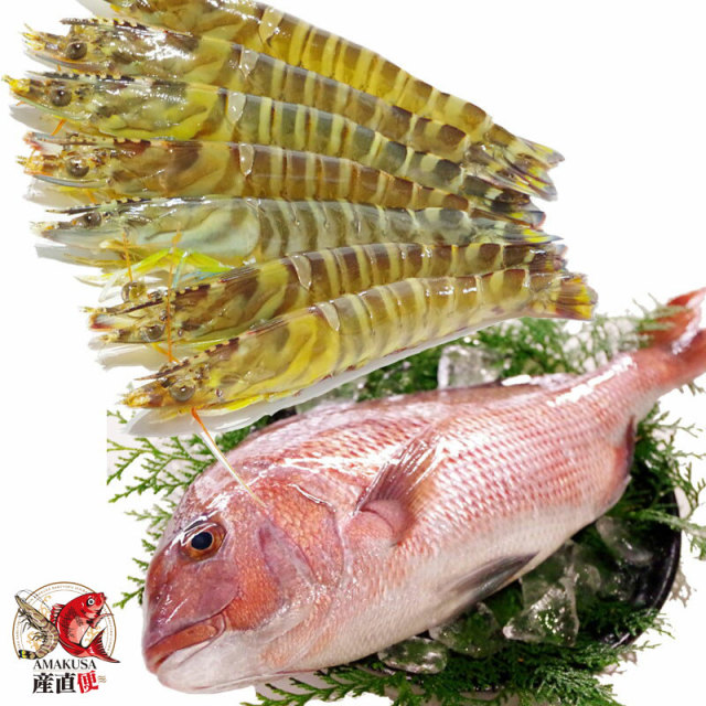 海老鯛セット 送料無料