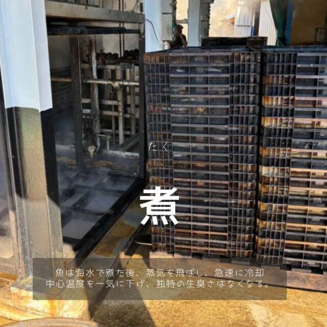 エラさん家 削り節シリーズ 70g単品 みそしるぶし(いわし)/うどんぶし(さば)/あわせぶし(いわし・さば混合)天草 牛深 江良水産 出汁