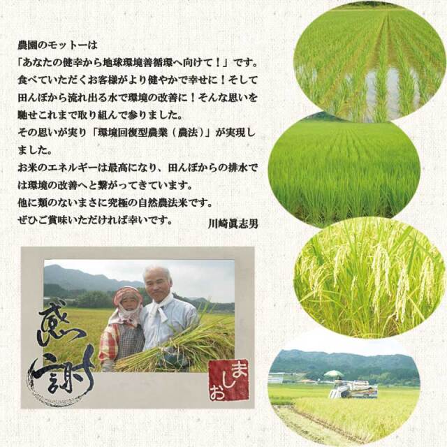 ましおのお米