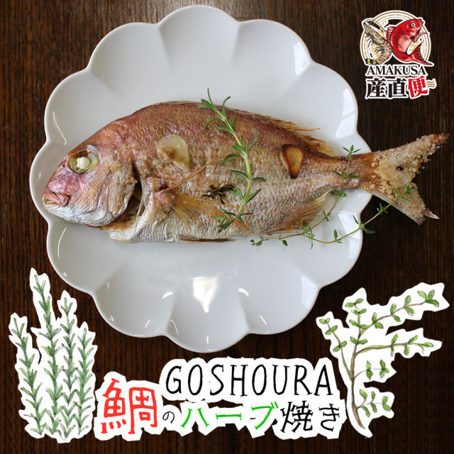 Goshoura 鯛のハーブ焼き 送料無料