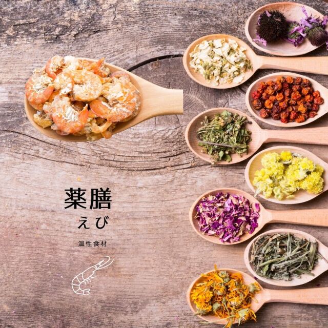 えびやま太郎 山元 詠太郎 / セレッソ大阪西 U-15 / 選手詳細