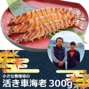 丸仙水産