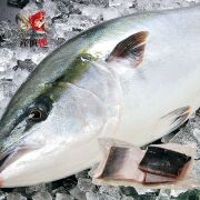 冷凍天草ブリブロック１kg