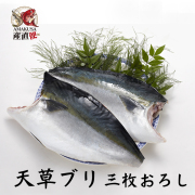 ブリ