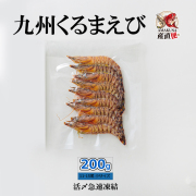 クルマエビ 鳴門クルマエビ 250g（急速冷凍 お刺身OK）15㎝～18㎝前後 約7
