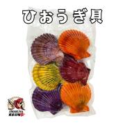 ひおうぎ貝 ６枚 貝殻ごと急速凍結