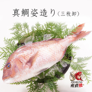 真鯛姿造り