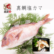 真鯛塩カマ