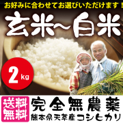 ましおのお米