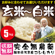 ましおのお米