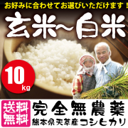 ましおのお米