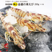 クルマエビ 鳴門クルマエビ 250g（急速冷凍 お刺身OK）15㎝～18㎝前後 約7