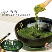 海とろろ　井上勇商店