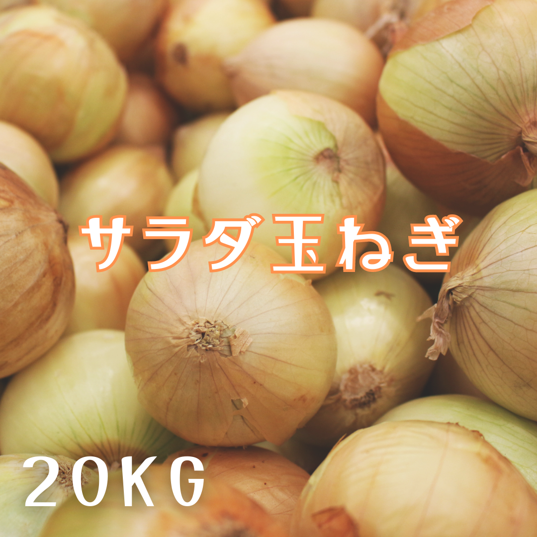 サラたま20kg