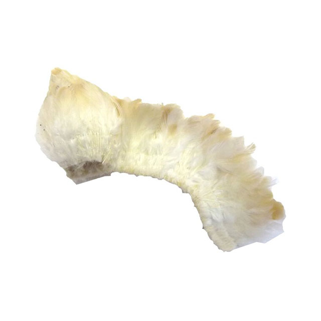 284SS2574.jpg