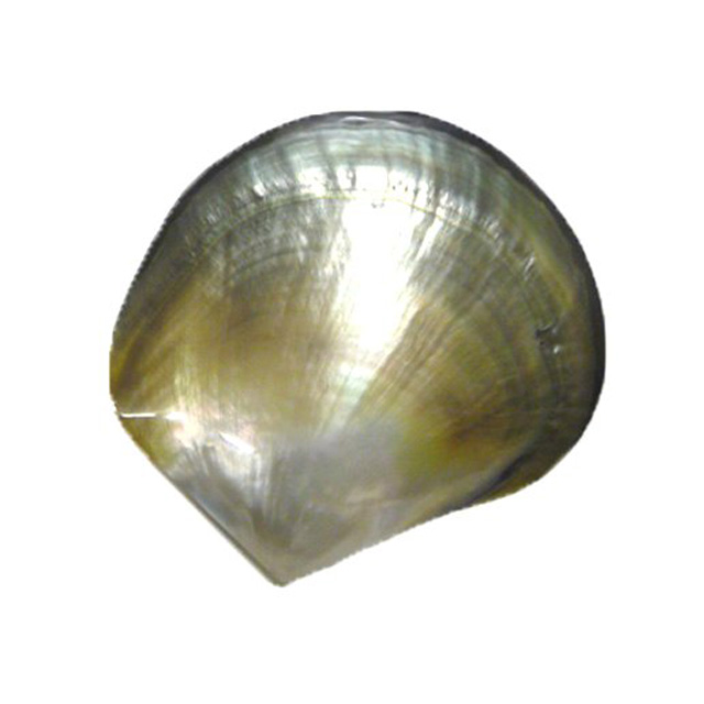285LK2450.jpg