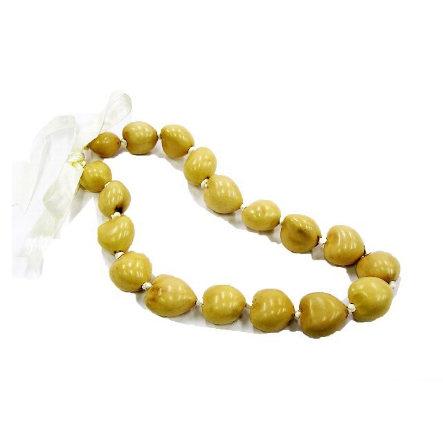 ククイ ショート レイ （白）