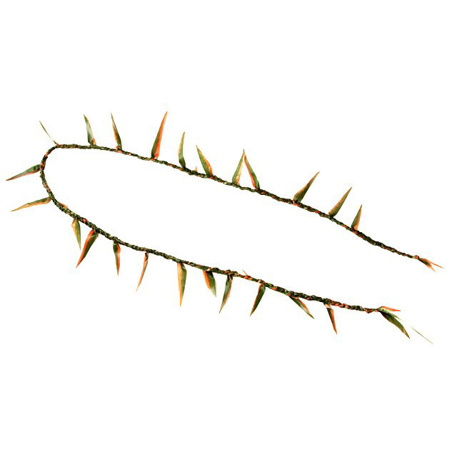 ティーリーフオープンレイ（赤）