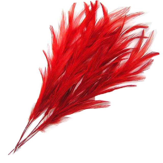 フェザー（5本）