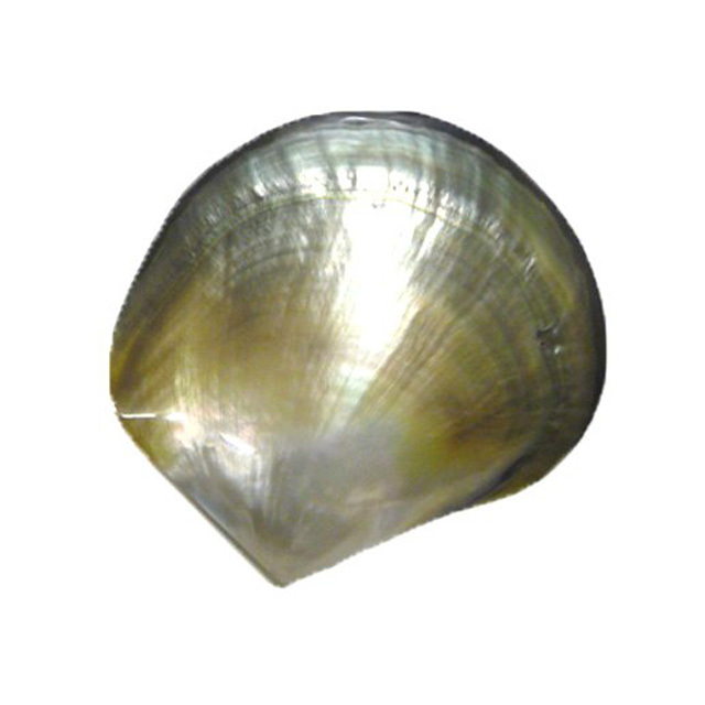 285LK2450.jpg
