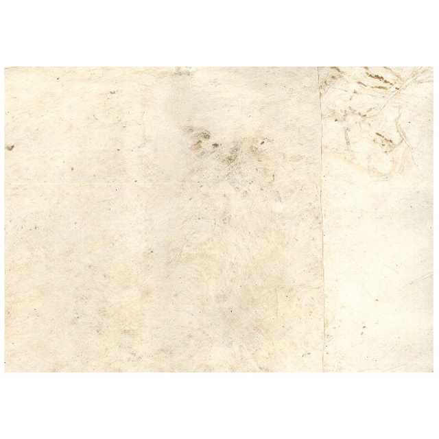 289ZZ3140.jpg