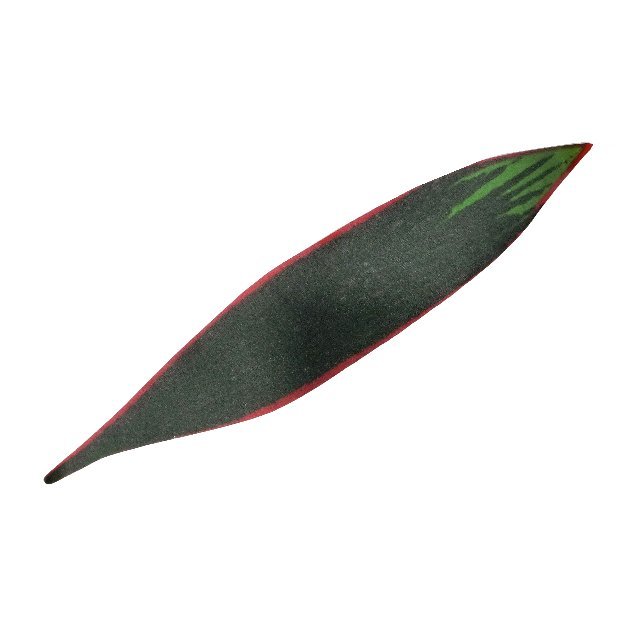289ZZ4207.jpg