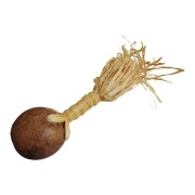 141ZZ0436.jpg