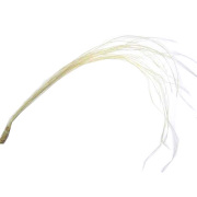281ZZ1116.jpg