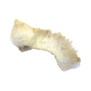 284SS2574.jpg