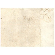 289ZZ3140.jpg